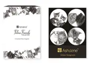 Ashdene Feline Friends - Assorted Magnet 4 Pack