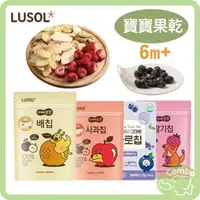 在飛比找樂天市場購物網優惠-韓國 LUSOL 水果乾 寶寶果乾 幼兒零食