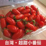 【仙菓園】台灣 溫室玉女小番茄.約600G/盒.2盒入.1200G±10%(冷藏配送)