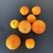 Set of 8 Oranges Tangerines Vase Filler 3” and 2”
