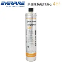 在飛比找momo購物網優惠-【濱特爾】EVERPURE 美國原裝進口濾心(4H2 平輸品