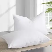 2 Pack Goose Feather Down Pillows King Size Luxury Soft Feather Pillow 20X36in