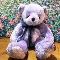 在飛比找momo購物網優惠-【TEDDY HOUSE 泰迪熊】泰迪熊玩偶公仔絨毛娃娃軟毛