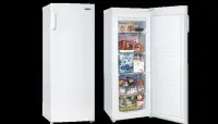 在飛比找Yahoo!奇摩拍賣優惠-【SAMPO聲寶】170公升直立式冷凍櫃SRF-171F