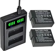 2 Packs DMW-BLC12 Batteries Dual Charger with Type C Port for Panasonic Lumix DMC-FZ200 FZ1000 G5 G6 G7 GX8 G85 GH2 Camera