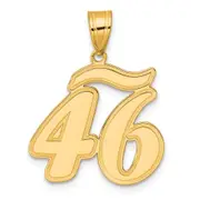 14k Yellow Gold Brushed Border Script Number 46 Pendant