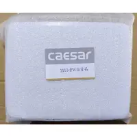 在飛比找蝦皮購物優惠-caesar浴缸維修孔蓋 凱撒浴缸維修孔蓋 ABS浴缸維修框