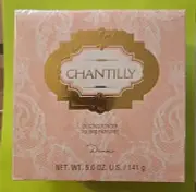 New Old Stock Vintage CHANTILLY by Dana Dusting Powder 5 oz Sealed TALC