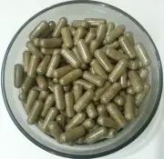 Shilajeet Extract 12:1 Capsules (Fulvic Acid) Stamina Libido Rejuvenation