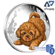 2018 Puppies Poodle 1/2oz Silver Proof Coin CERT NO: 18