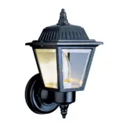 Trans Globe TG Class II 14' High Outdoor Wall Light Black - 4006 BK