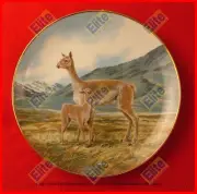 Last of Their Kind: The Endangered Species "The Vicuna" Collectors Plate - NIB