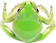 [Kbnuetyg] Tree Frog Ring - Adjustable Resin Open Ear Cuffs, Cute Animal Earrings No Piercing for Kids Girls Boys Ages