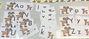 G0AT ABC'S UPPER & LOWERCASE MATCH CARDS -LAMINATED - Teaching supplies