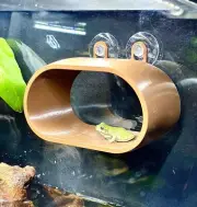 Gecko Frog Hide Hammock Wall Decor Amphibian Reptile Tank Accessories Supplies