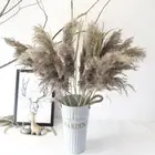50PCS Artificial Flower Dried Pampas Grass Reed Bunch Home Wedding Decoration☏