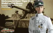 Dragon Cyber Hobby 1/6 scale 12" Otto Carius Tiger Ace with ID Card WWII Figure