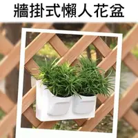 在飛比找PChome24h購物優惠-【珍愛頌】N137 自動吸水 加厚植物牆懶人花盆 垂直壁掛