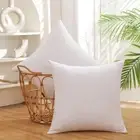 22x22 Inch Gold Goose Down and Feather Throw Pillow Inserts-2 PacksWhiteSuper