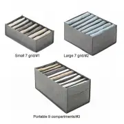 Wardrobe Clothes Organizer 2PCS Slightly Socks Underwears Bras Storage