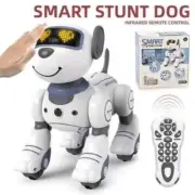 Remote Control Programmable Smart Dancing Stunt Intelligent Robot Dog XMAS Gift