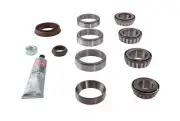 Differential Rebuild Kit-FSGR DANA Spicer 2017086