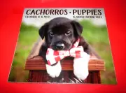 NEW DOGS: PUPPIES/CACHORROS PETS 16 MONTH 2022 WALL CALENDAR/CALENDARIO 12x11