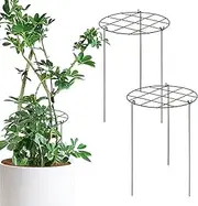 Trellis for Climbing Plants Indoor | Iron Stable Plant Stake,Reusable Gardening Supplies for Potted Plants Planter Propagation Flower Raised Vegetables Fruit Roses