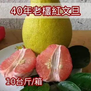 【四季老欉麻豆文旦果園】40年老欉麻豆紅文旦(10台斤/箱)