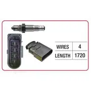 RAE Oxygen Sensor - OX711
