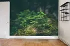 3D Pine Tree Wallpaper Wall Mural Removable Self-adhesive 102