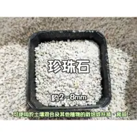 在飛比找蝦皮購物優惠-肉Yu＊珍珠石(真珠石)約2~8mm-1公升小量包/多肉植物