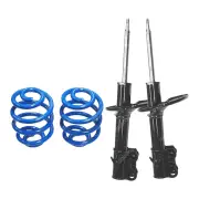 Front Super Low Gabriel fixed Strut Shock Lovells Spring for Holden Apollo JM JP