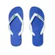 Havaianas Brasil Logo 男鞋 女鞋 藍色 經典款 防水 人字拖 拖鞋 4110850-2711U