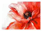 Red Flower Canvas Print