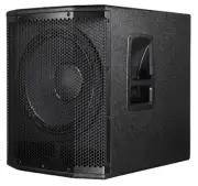 Singtronic Professional 1000W Power Amp Subwoofer Speaker