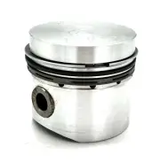362504 Non Gen Petter Piston & Ring Assy 020" o/s (AAC10B) - see description