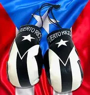 Flags for Cars Puerto Rico Quality Made Boricua Pride Puerto RIca Style Autos or Home Sticks to Glass Quick and Easy