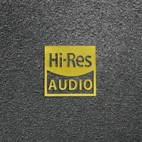 在飛比找蝦皮購物優惠-現貨SONY Hi-res AUDIO金標 高品質音效認證金