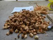 Dry Coconut Husk Chips Orchid Anthurium Growing 100% Natural Organic Free Shippi