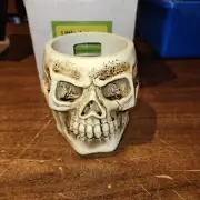 NEW in box Skelleton Echo Dot holder decoratiom, hide your device