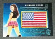 2018 Benchwarmer PENNELOPE JIMENEZ Hot For Teacher PLEDGE US FLAG #1/1 PLAYBOY