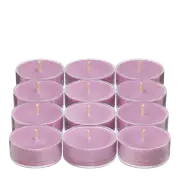 Boho Berry Universal Tealight Candles
