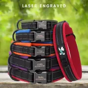 Reflective Dog Collar – Custom Name & Number, Adjustable, Safe, S–L Sizes