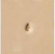 P233 Craftool Pear Shader Leather Stamp - 1/8" x 3/16"