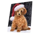 Let it Snow Christmas Holiday Poodle Dog Woven Throw Sherpa Blanket T16