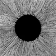 Witness by VOLA [CD]