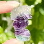 1pc Natural Fluorite seahorse skull Quartz Crystal carved Skull gem Mineral 1.6"