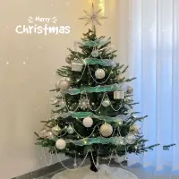 在飛比找樂天市場購物網優惠-聖誕樹 圣誕樹2022新款家用兒童高級感大型圣誕樹家用ins