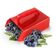 Berry Picker Ergonomic Berry Pick Rake with Metal Comb Labor Saving sdToj